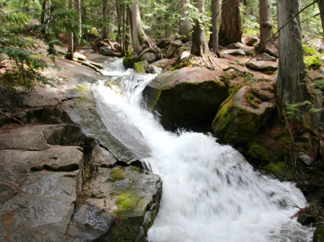 Wenatchee National Forest景点图片