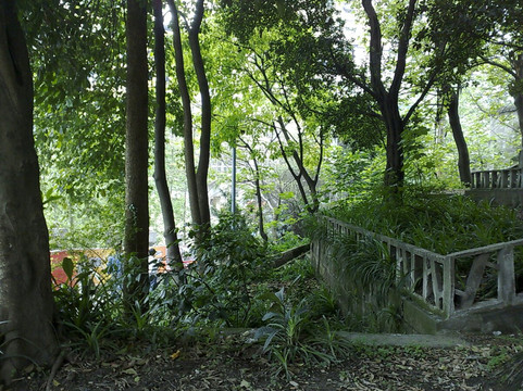 枇杷山公园-重庆市必去景点