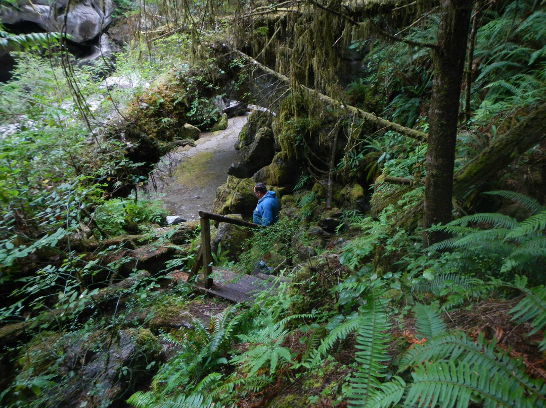 Little Huson Cave Park景点图片