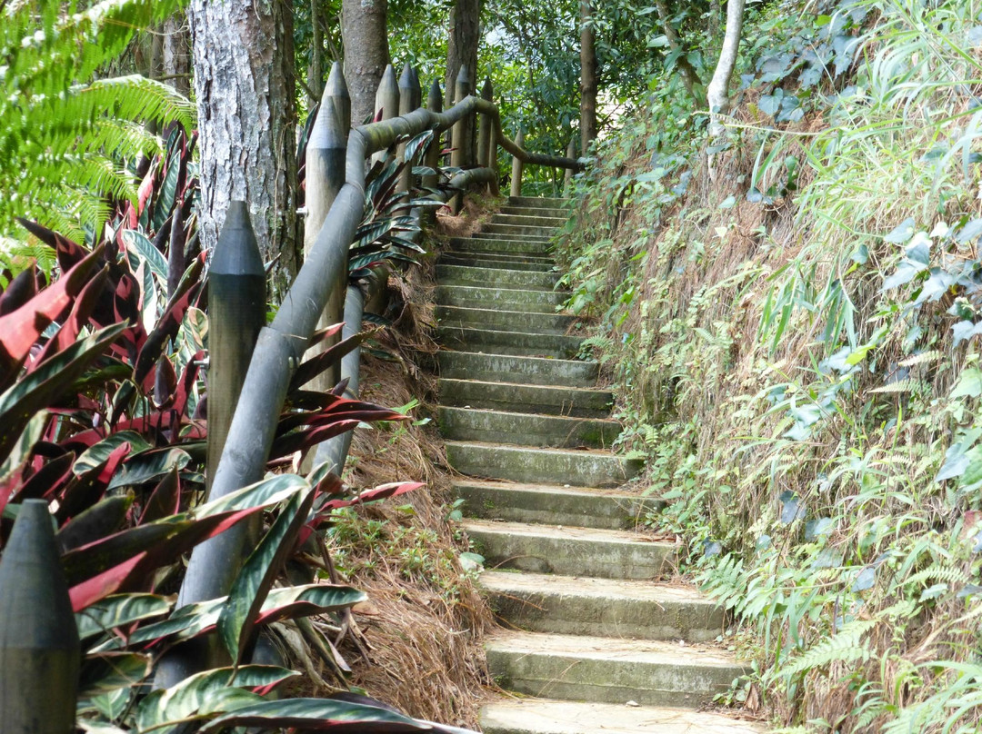 Parque El Salado-恩维加多必去景点