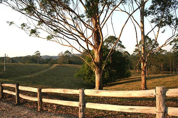 Arequipa Bed and Breakfast主图