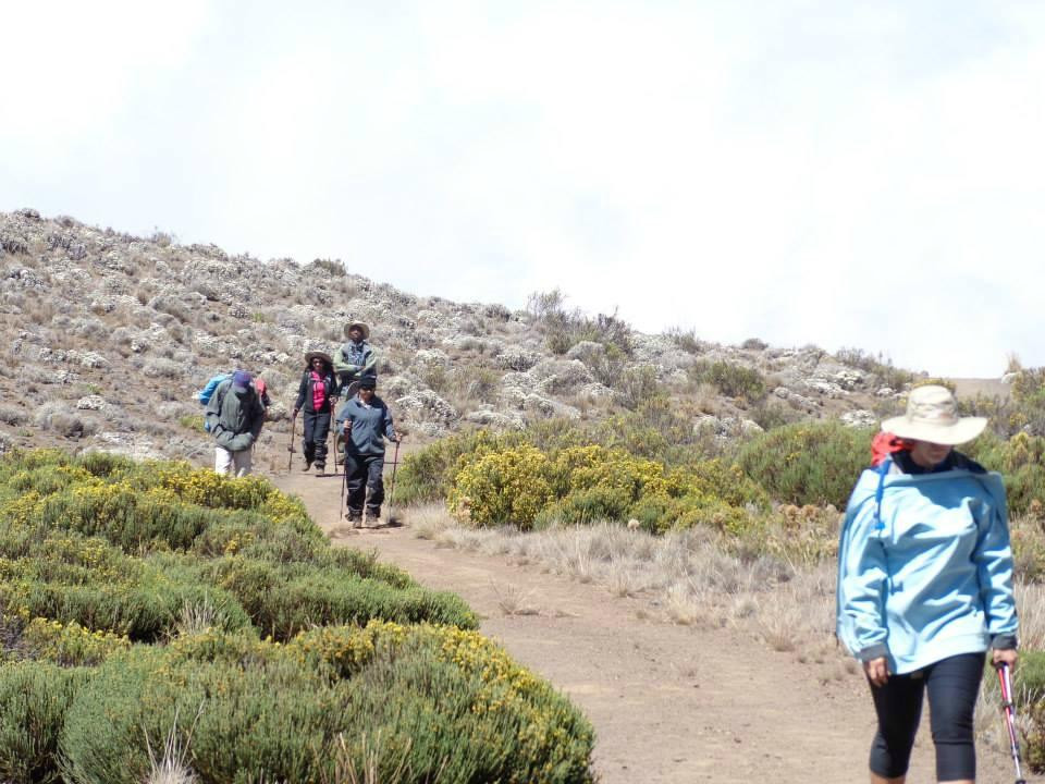 African Outdoor Adventures -  Day Tours-Kommetjie必去景点