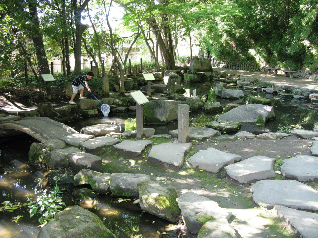 Tetsugakudo Park-中野区必去景点