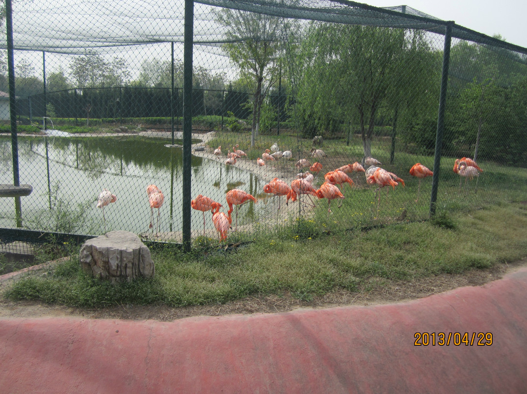 石家庄动物园-石家庄市必去景点
