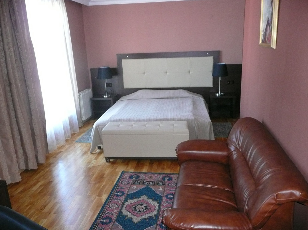 Airport Hotel Consul主图