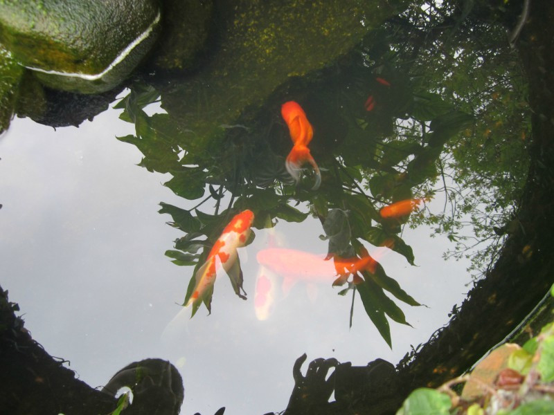 大鵬所城-深圳市必去景点