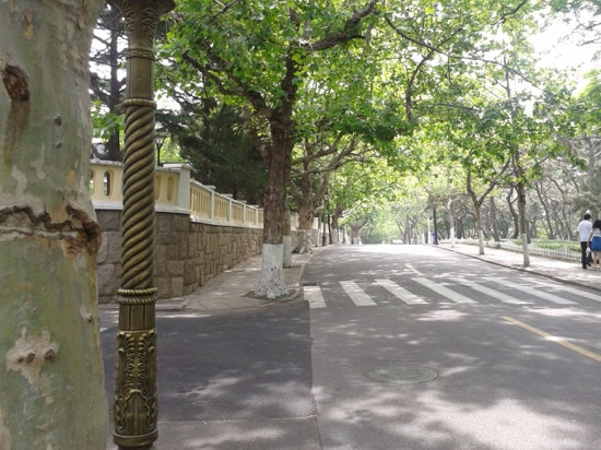 八大关-青岛市必去景点