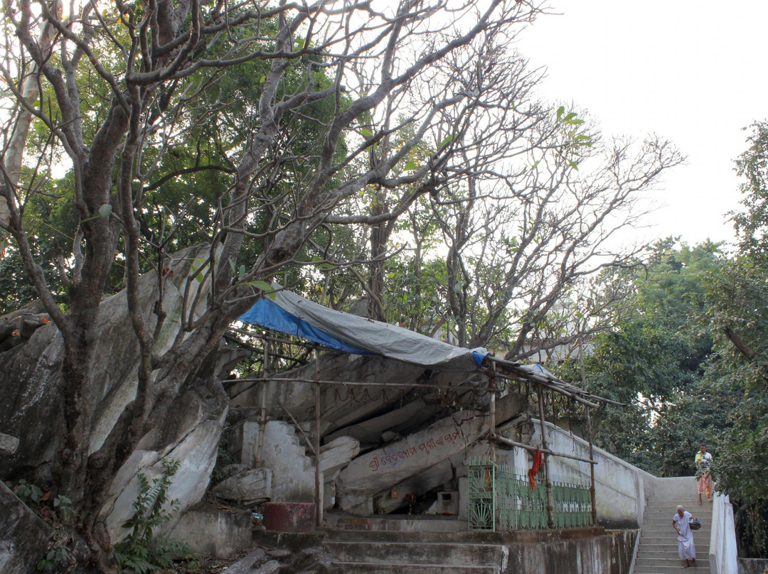 Vedavyas Temple-Rourkela必去景点