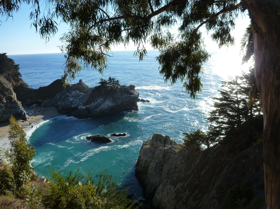 朱莉娅·菲佛·伯恩斯州立公园-大苏尔必去景点