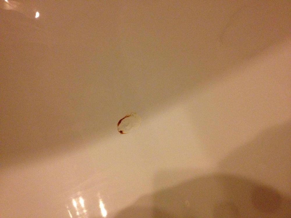 北方佳苑饭店-浴室