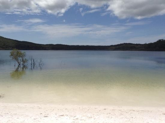 Drop Bear K'gari Fraser Island Adventures-弗雷泽岛必去景点
