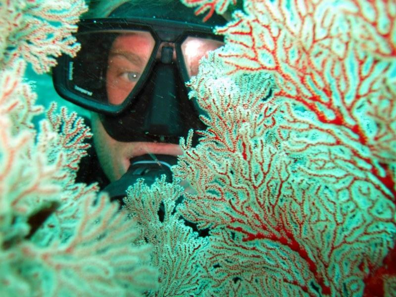 Discovery Divers Lombok-Kuta必去景点