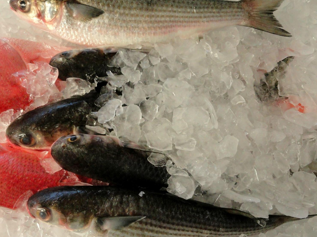 Perdido Key Seafood-Perdido Key必去景点