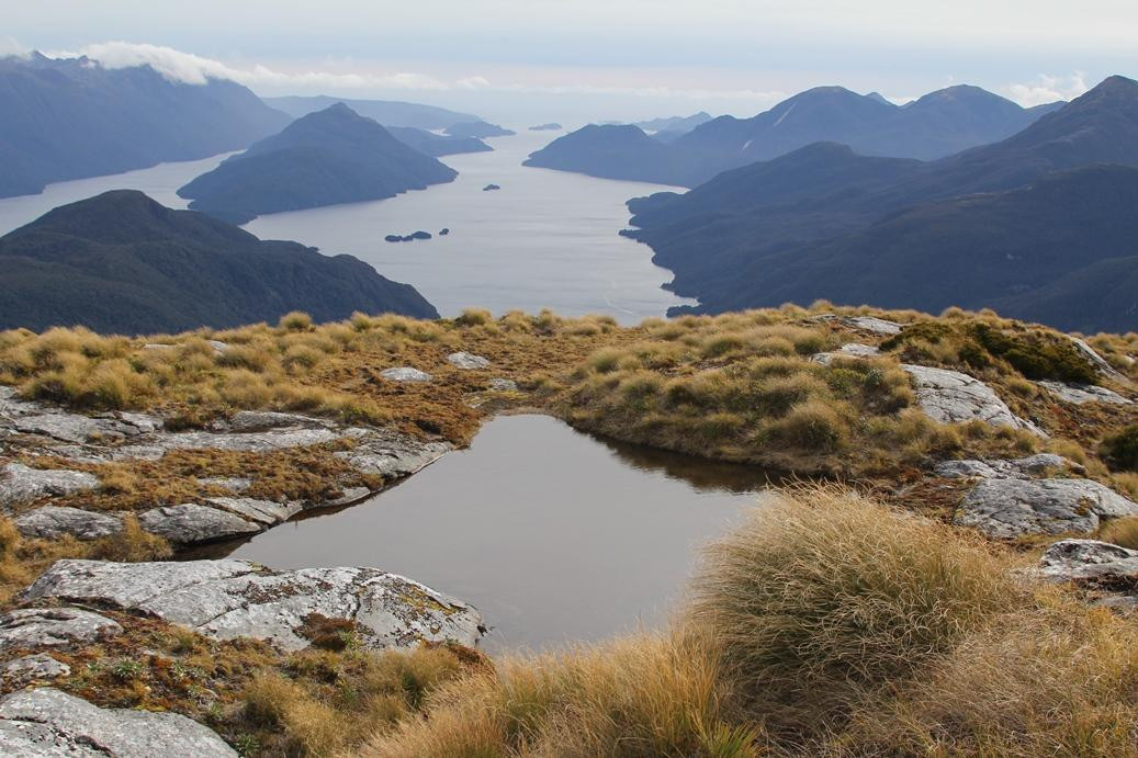 Fiordland Helicopters-蒂阿瑙必去景点