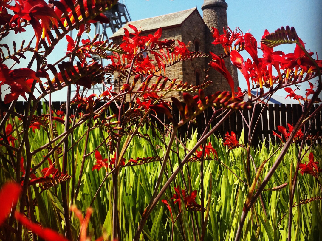 Heartlands-Pool必去景点