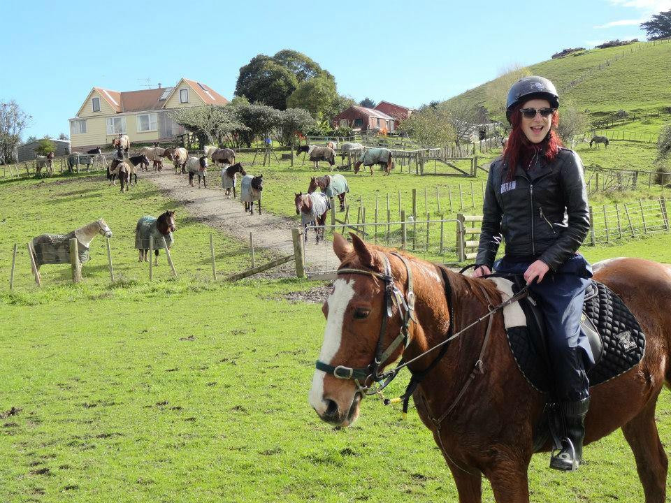 Horse Riding Warkworth-瓦卡沃夫必去景点