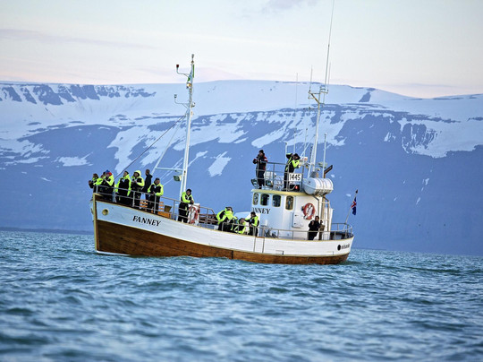 Salka Whale Watching-胡萨维克必去景点