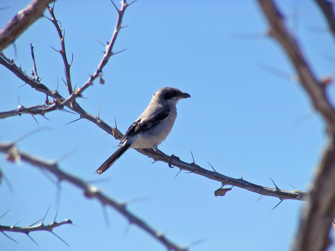 Isla Carmen-下加利福尼亚州必去景点