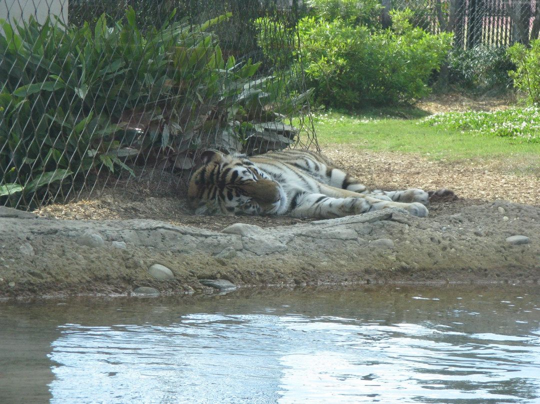 Louisiana State University-巴吞鲁日必去景点