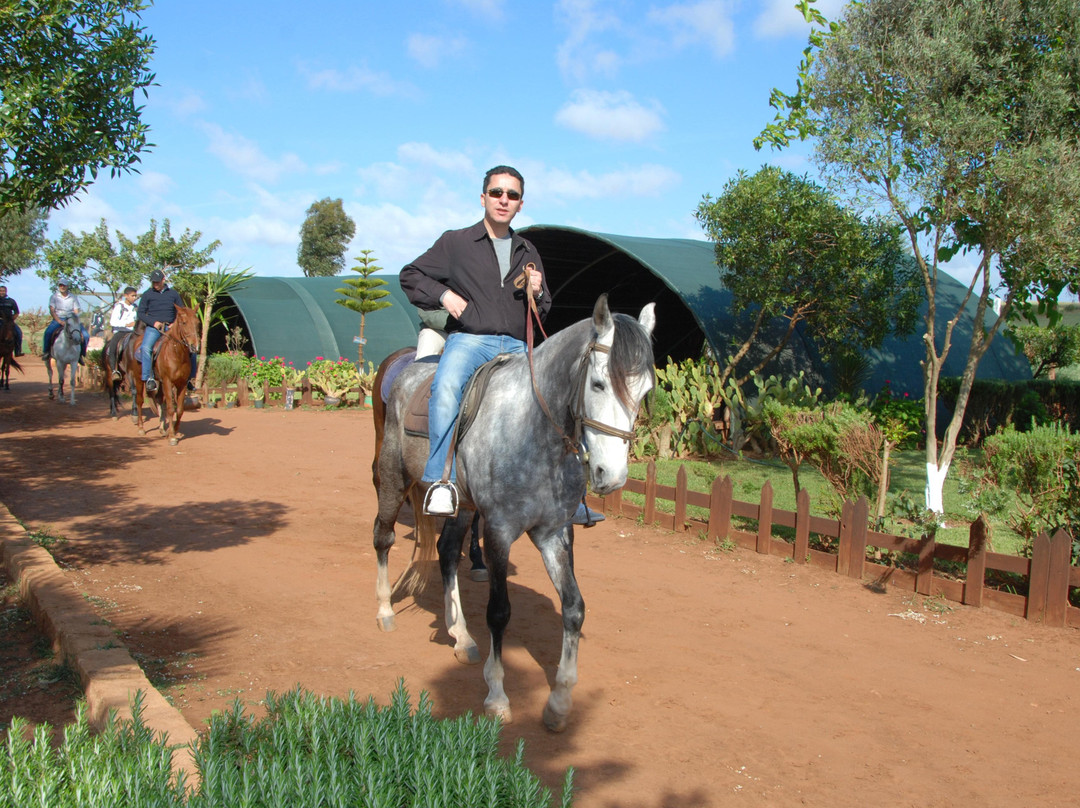 Club Hippique le Barry-卡萨布兰卡必去景点