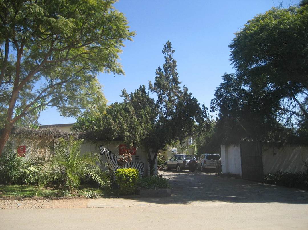 Zebra Guest House主图