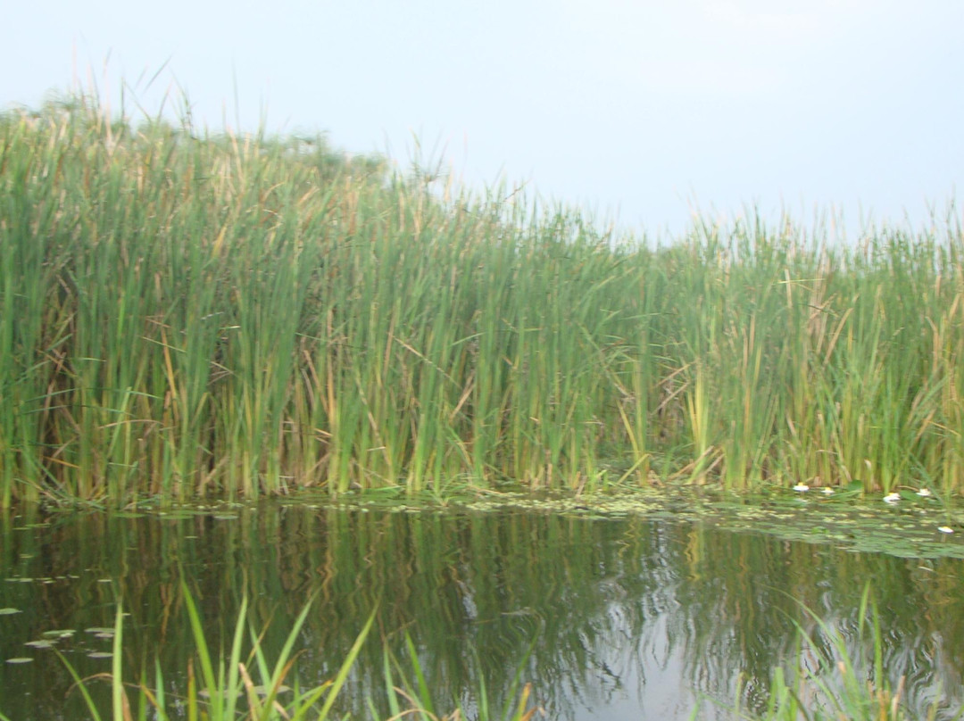 Lake Kanyaboli National Reserve-基苏木必去景点