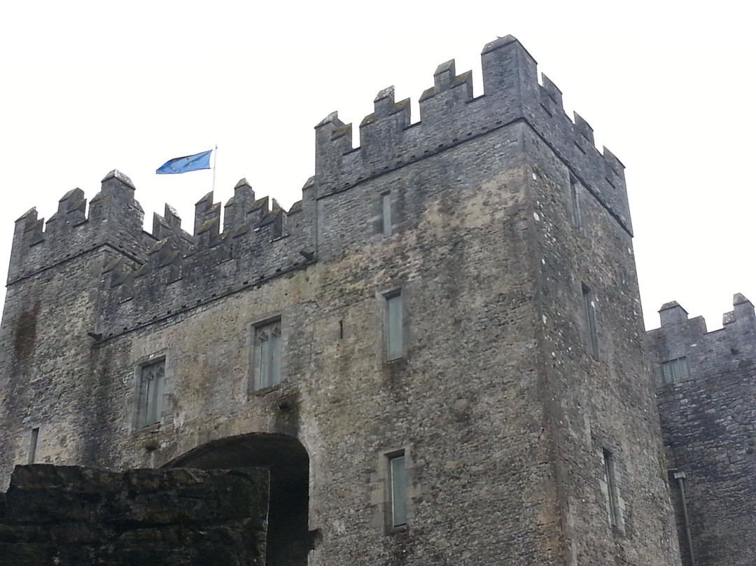 Bunratty Castle and Folk Park-Bunratty必去景点