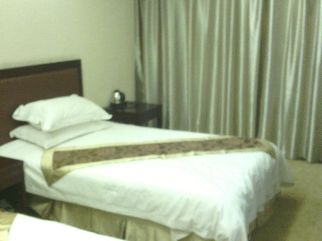 金花大酒店主图