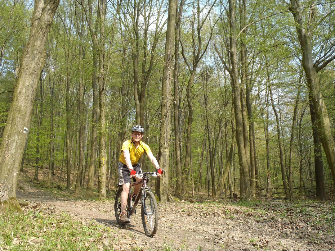 BikeBratislava-布拉迪斯拉发必去景点