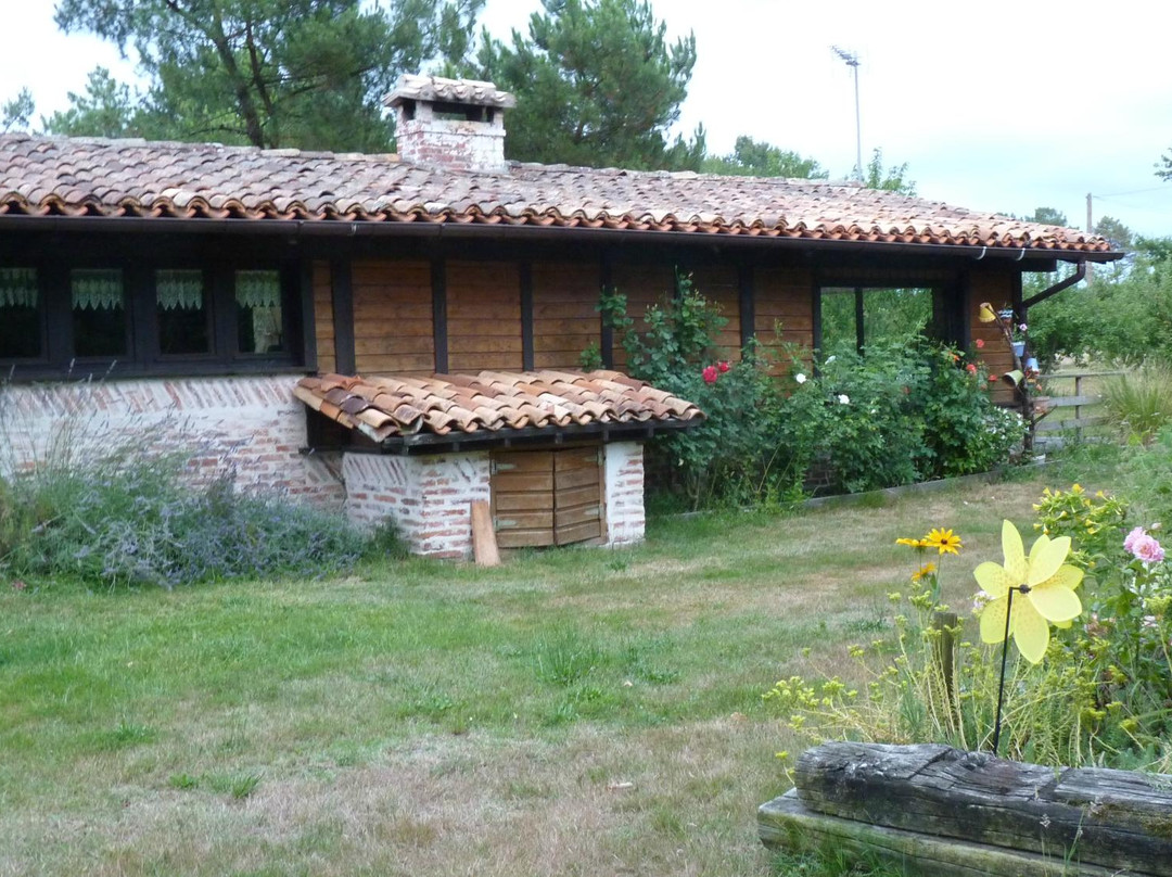 Jardins secrets主图