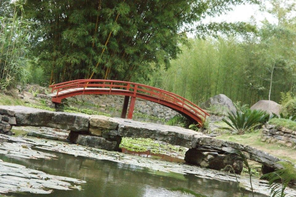Jardin Botanico Lankester景点图片