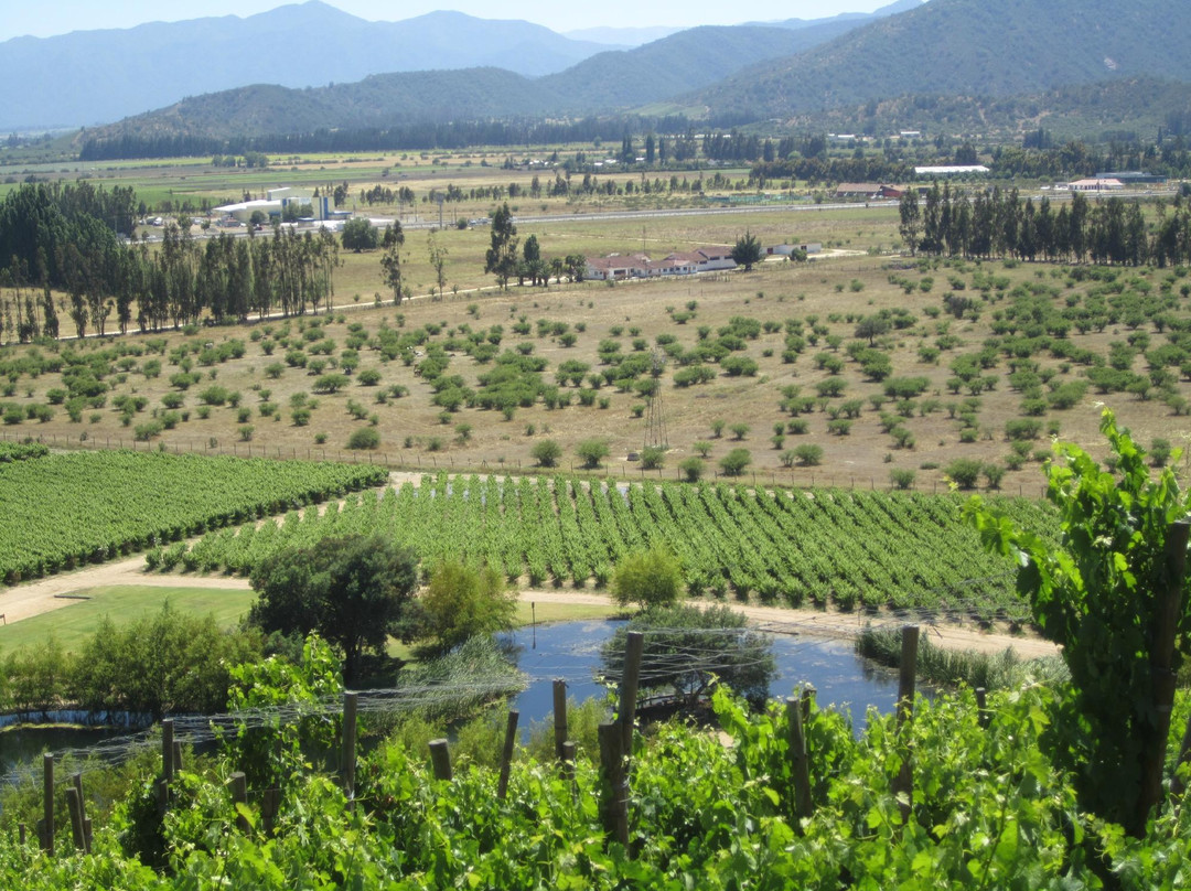 Casablanca Valley Wine Route
