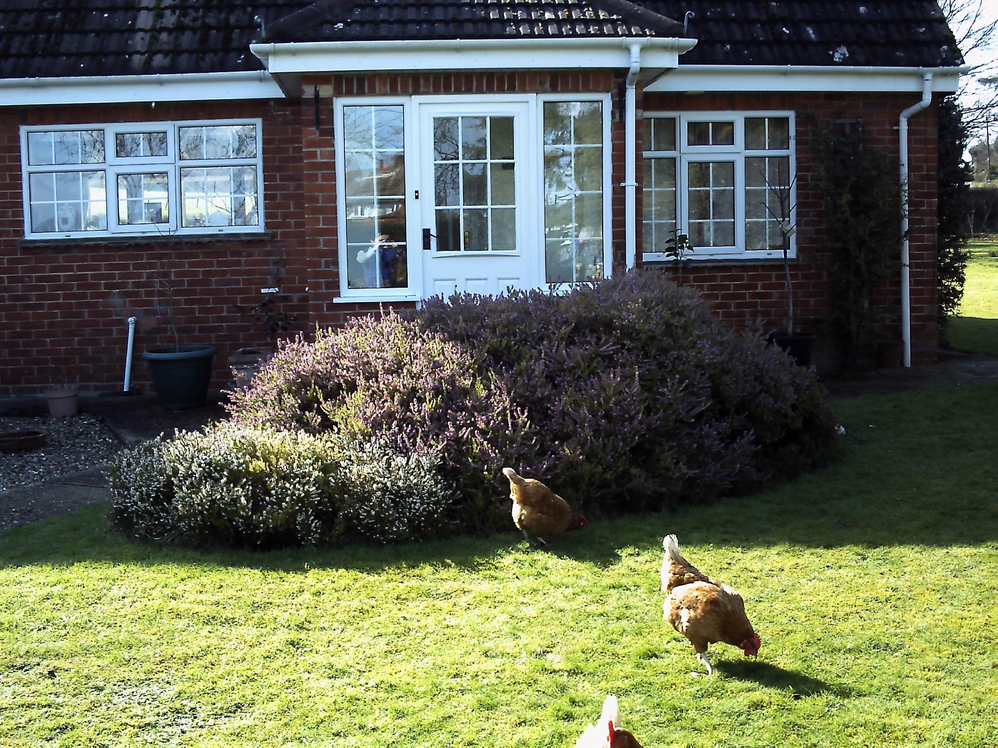 The Paddocks B&B-官方