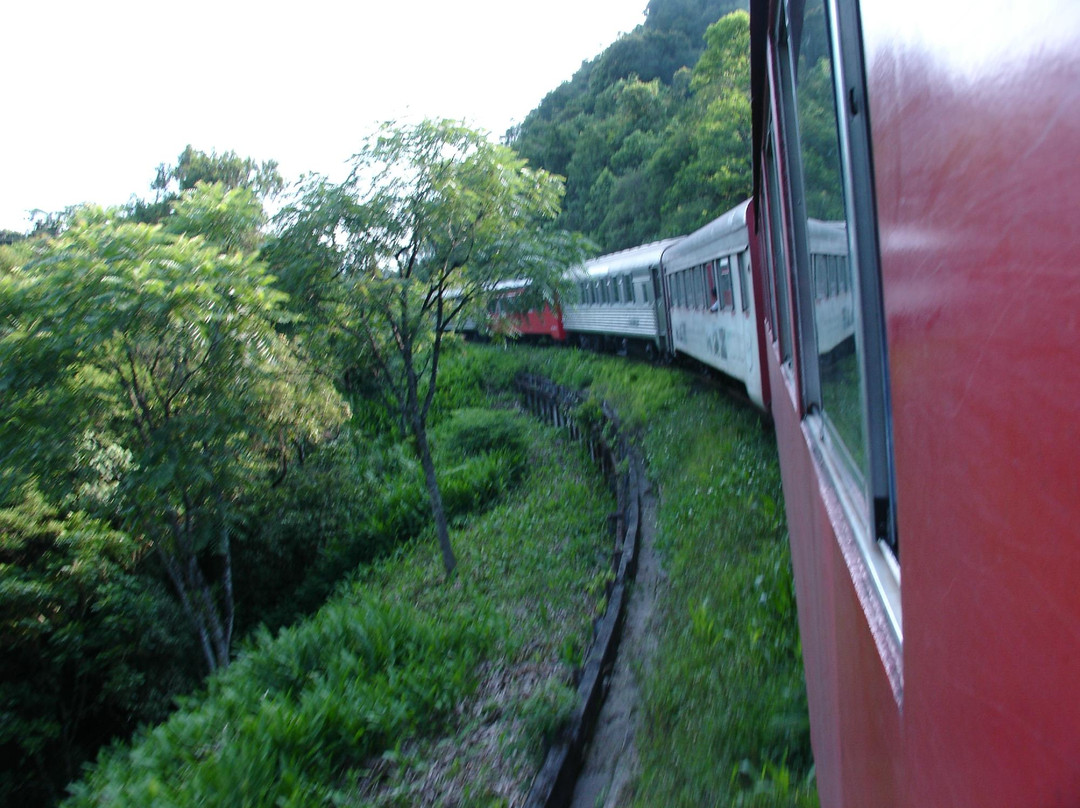 Estrada de Ferro Morretes- Curitiba景点图片