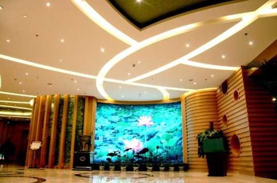 天津夏日荷花酒店鼓楼店主图