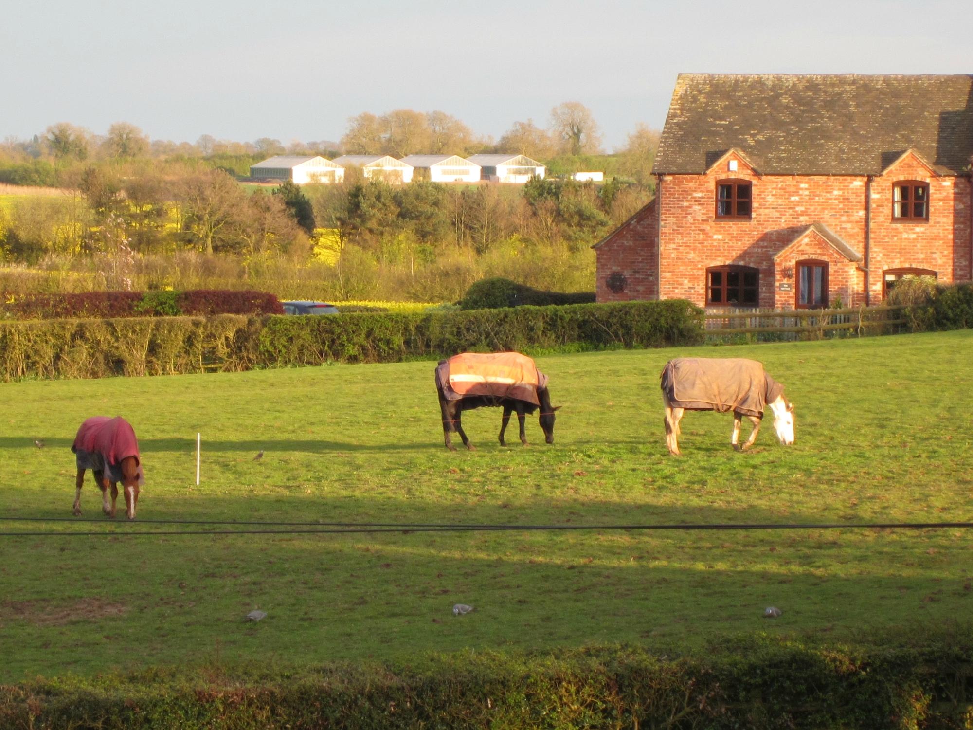 Shirley Hall Farm-酒店景观