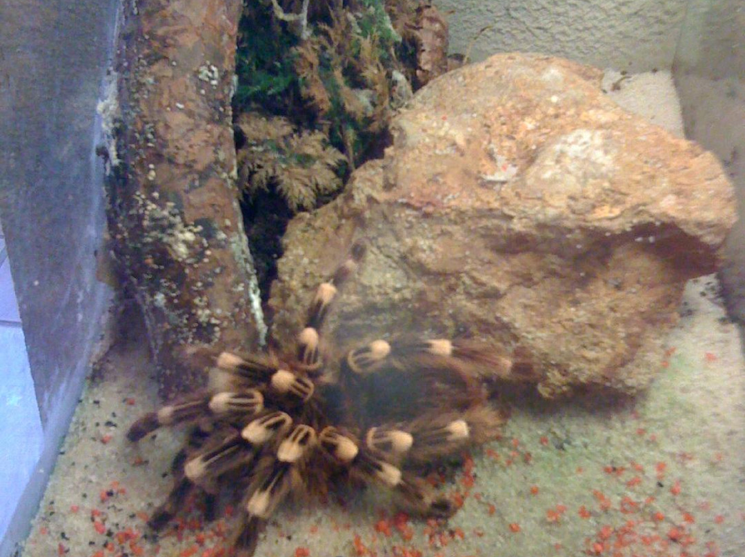 Vivarium du Moulin景点图片