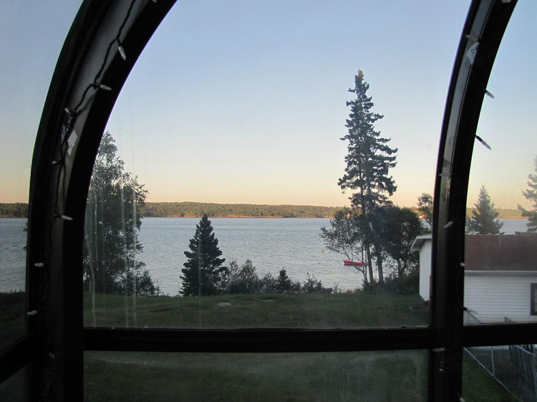 Redclyffe Shore Motor Inn主图