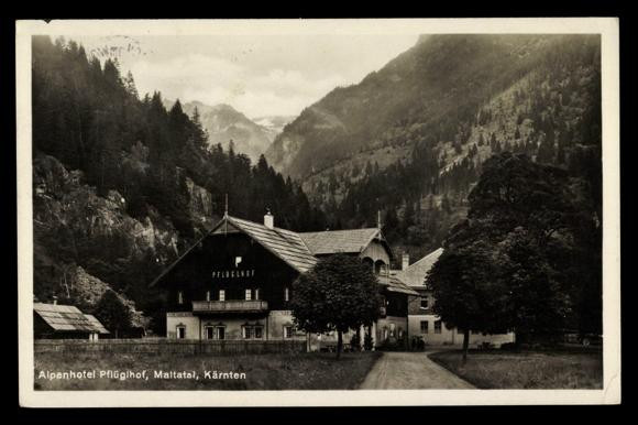 Alpenhotel Pflüglhof主图