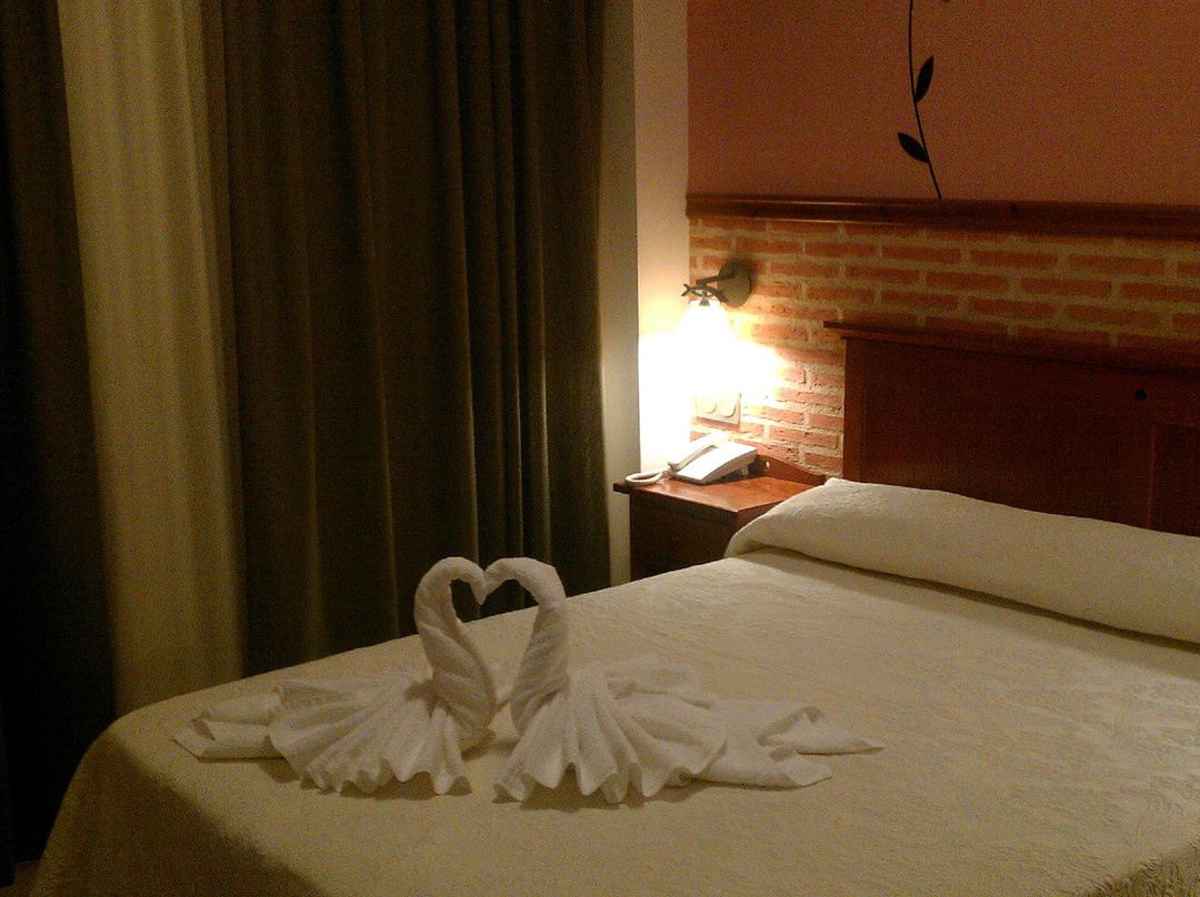 Province of Ciudad Real酒店住宿-Hotel Toral