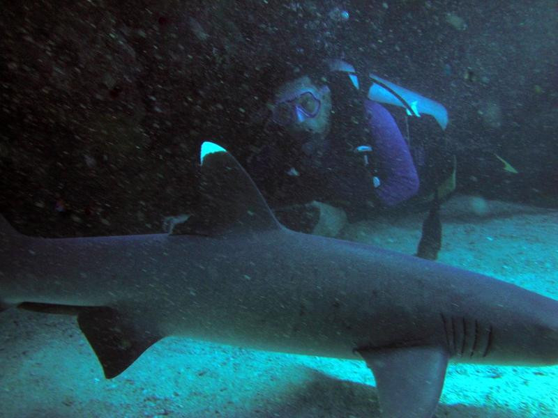 Galapagos Underwater-Puerto Baquerizo Moreno必去景点