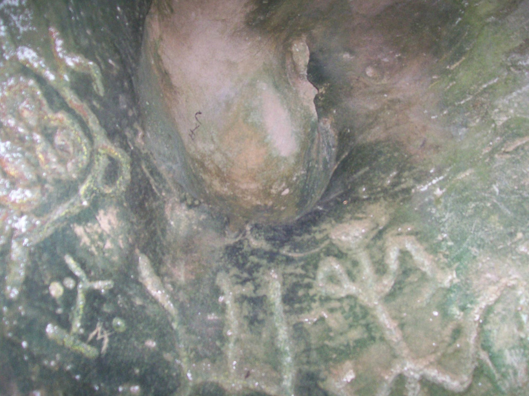 Cueva Del Indio景点图片