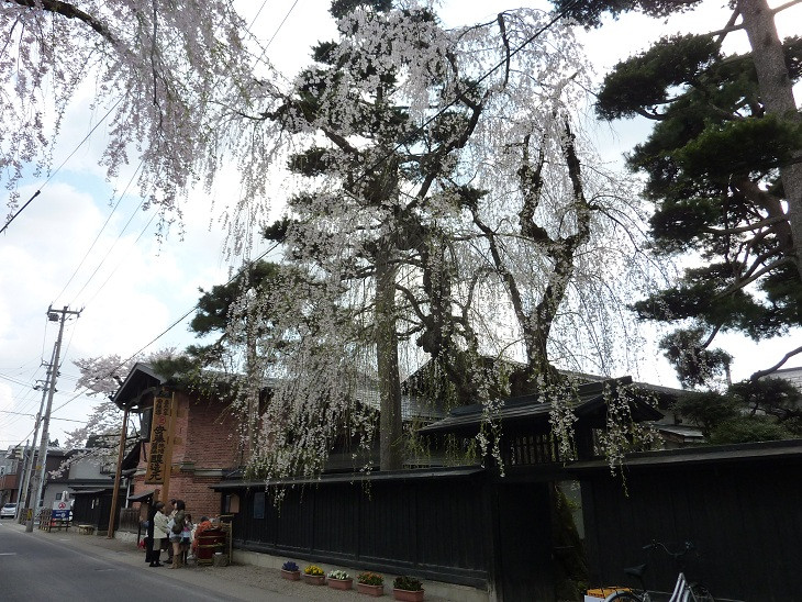 Ando Brewing Kitaura Honkan-仙北市必去景点