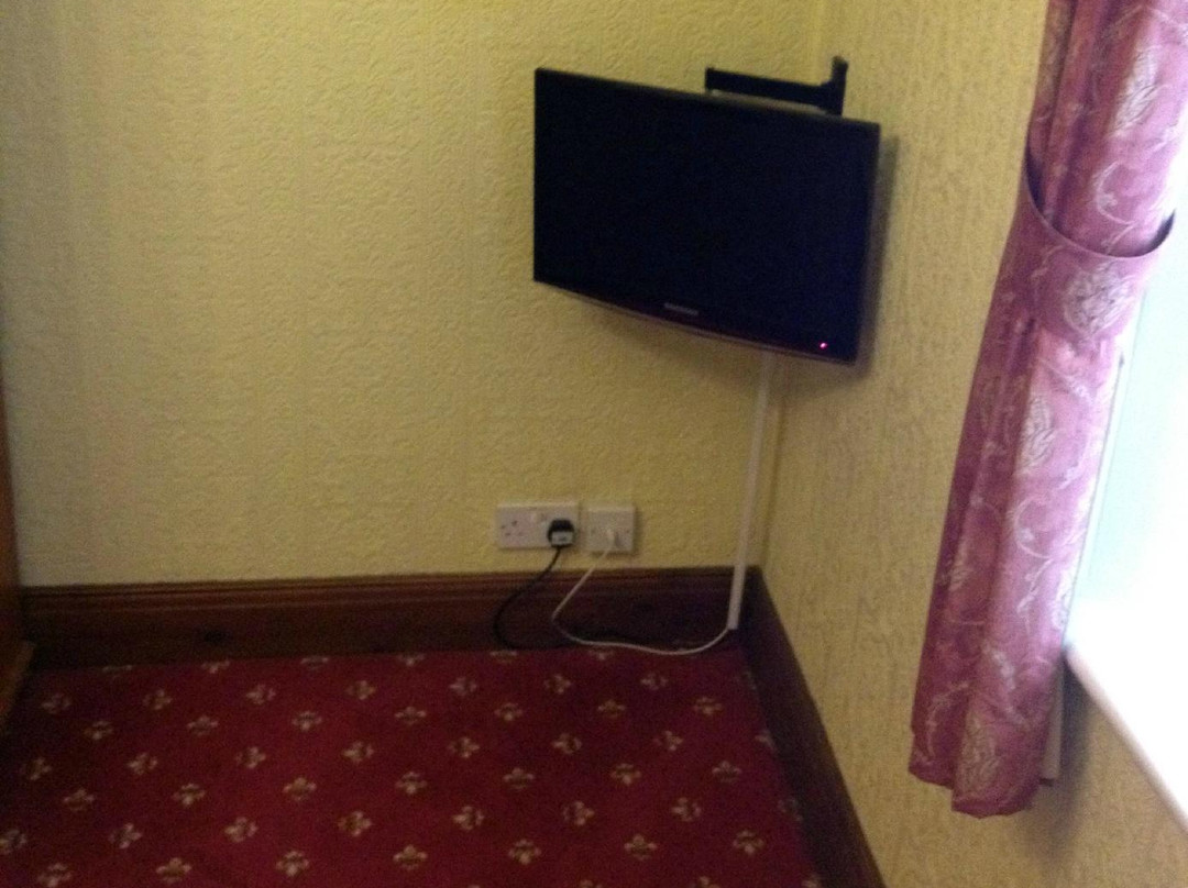 The Golden Cup主图