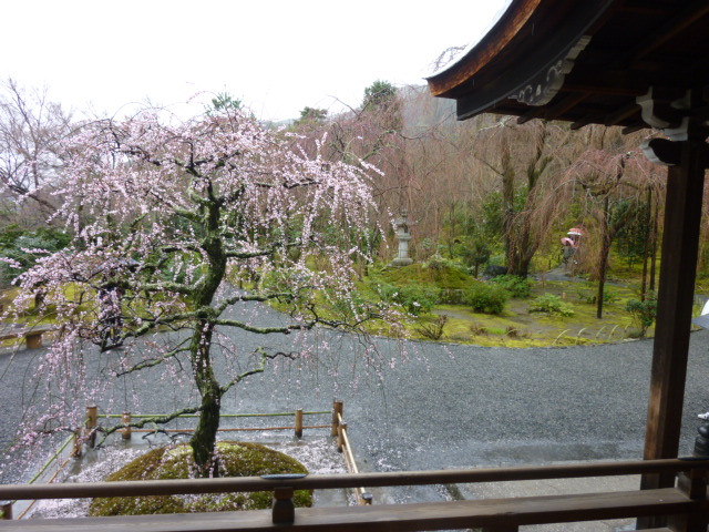 岚山-京都市必去景点