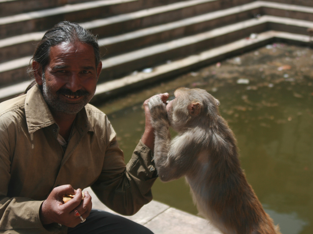 Monkey Temple-斋蒲尔必去景点