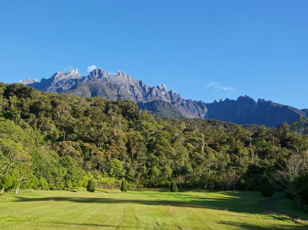 Magic Mountain Country Home主图