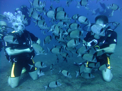 Scuba Den-普它肋斯必去景点