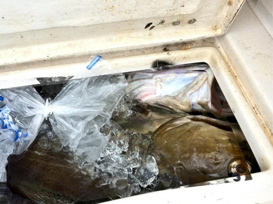 Kristin K Charters SportFishing-南波特兰必去景点