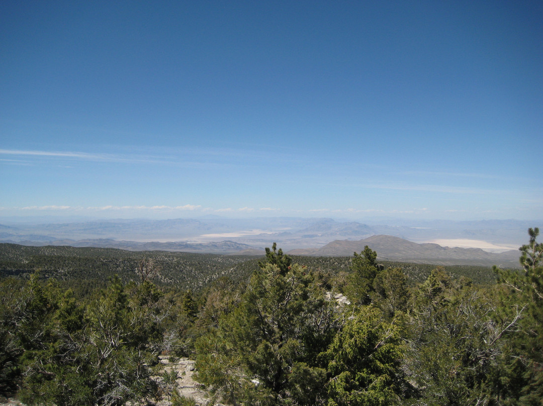 Mt. Charleston Scenic Byway-Mount Charleston必去景点